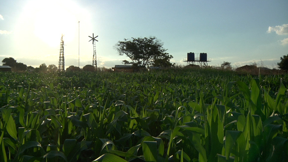 The boy who harnessed the wind, again