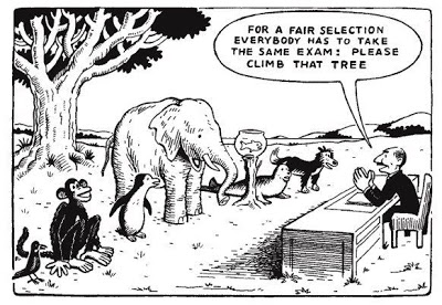 Fairness vs Equality an educators conundrum