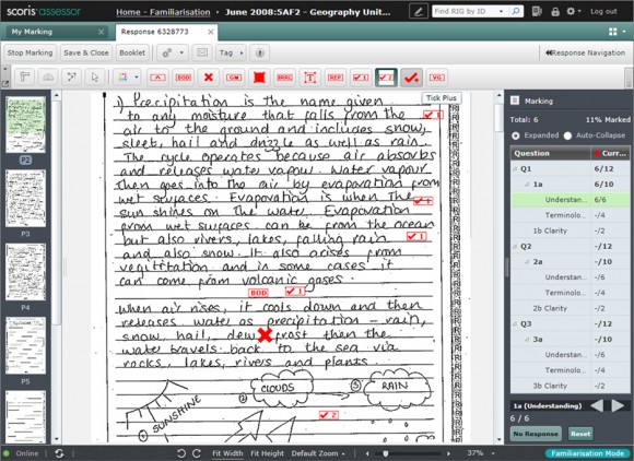 the-marking-experience