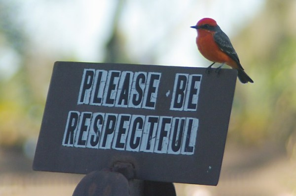 Respectful behaviours