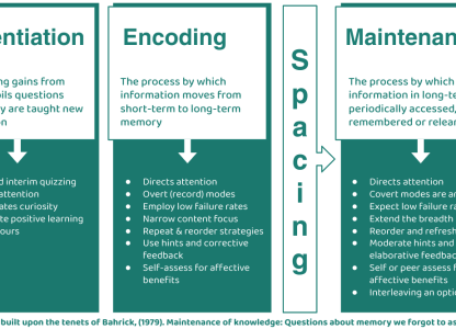 Bahrick to classroom – three phases (part II)