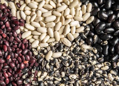 Legumes – starting with beans (part I)