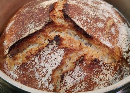 Home-baked bread to home-school sourdough (part I)