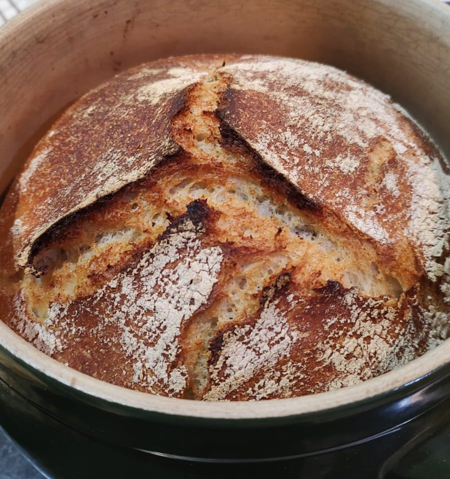 Home-baked bread to home-school sourdough (part I)