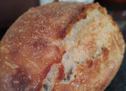 Home-baked bread to home-school sourdough (part x) In search of spring, belly and ear.