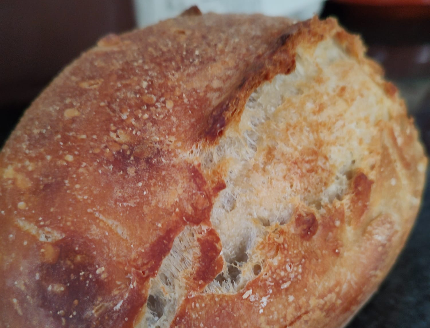 Home-baked bread to home-school sourdough (part x) In search of spring, belly and ear.