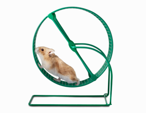 More hamster wheel than spinning plates