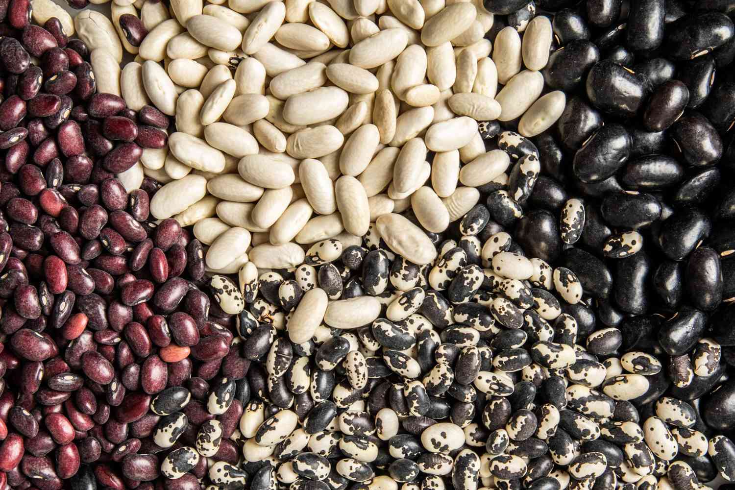 Legumes – starting with beans (part I)