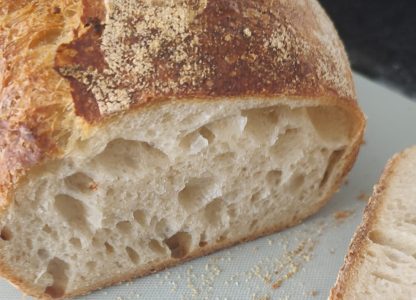 Home-baked bread to home-school sourdough (part v) leavening agents and fermentation processes